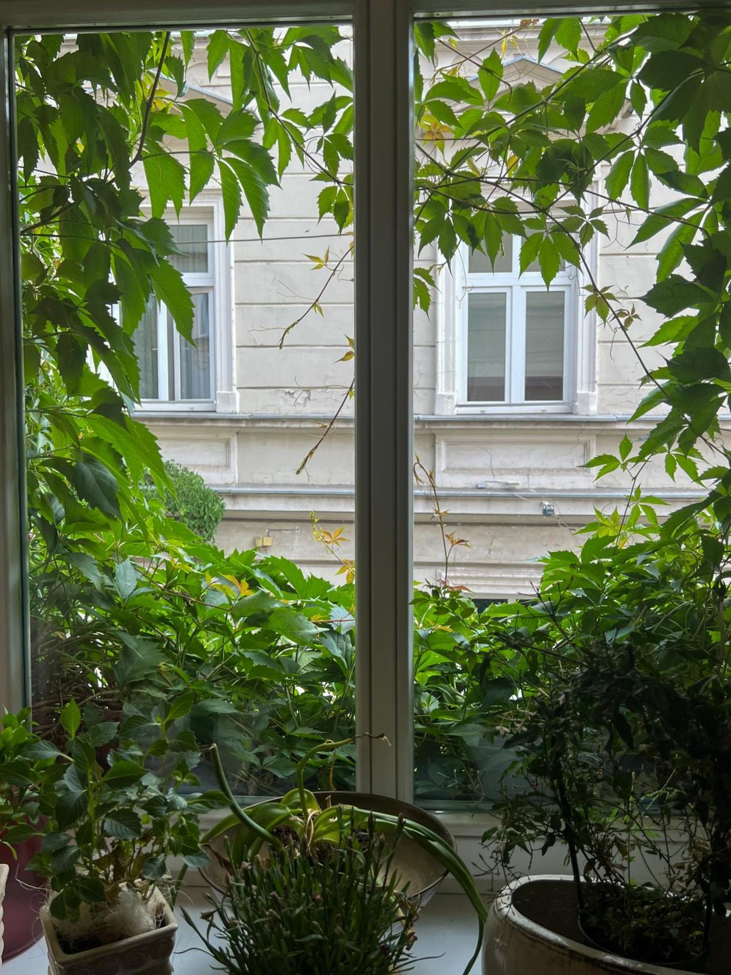 Aparthotel Karmel Krakow Bagian luar foto